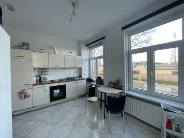 Appartamento intero in Statensingel, immagine 1 di 10