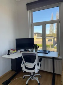 Appartamento intero in Statensingel, immagine 7 di 10