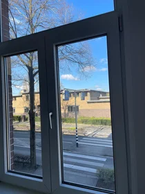 Appartamento intero in Statensingel, immagine 8 di 10
