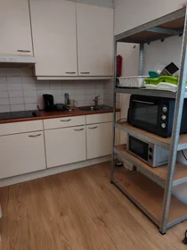 Prywatny pokój Tolhuislaan, obraz 1 10