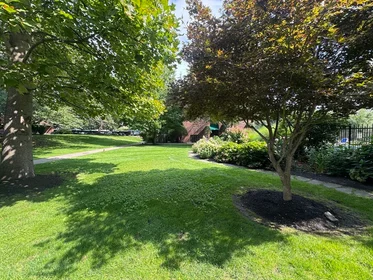 Entire apartment in residence at 144, Kenrick St., Unit 12, Brighton, Boston, MA, 02135, image 2 of 18