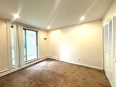 Entire apartment in residence at 144, Kenrick St., Unit 12, Brighton, Boston, MA, 02135, image 7 of 18