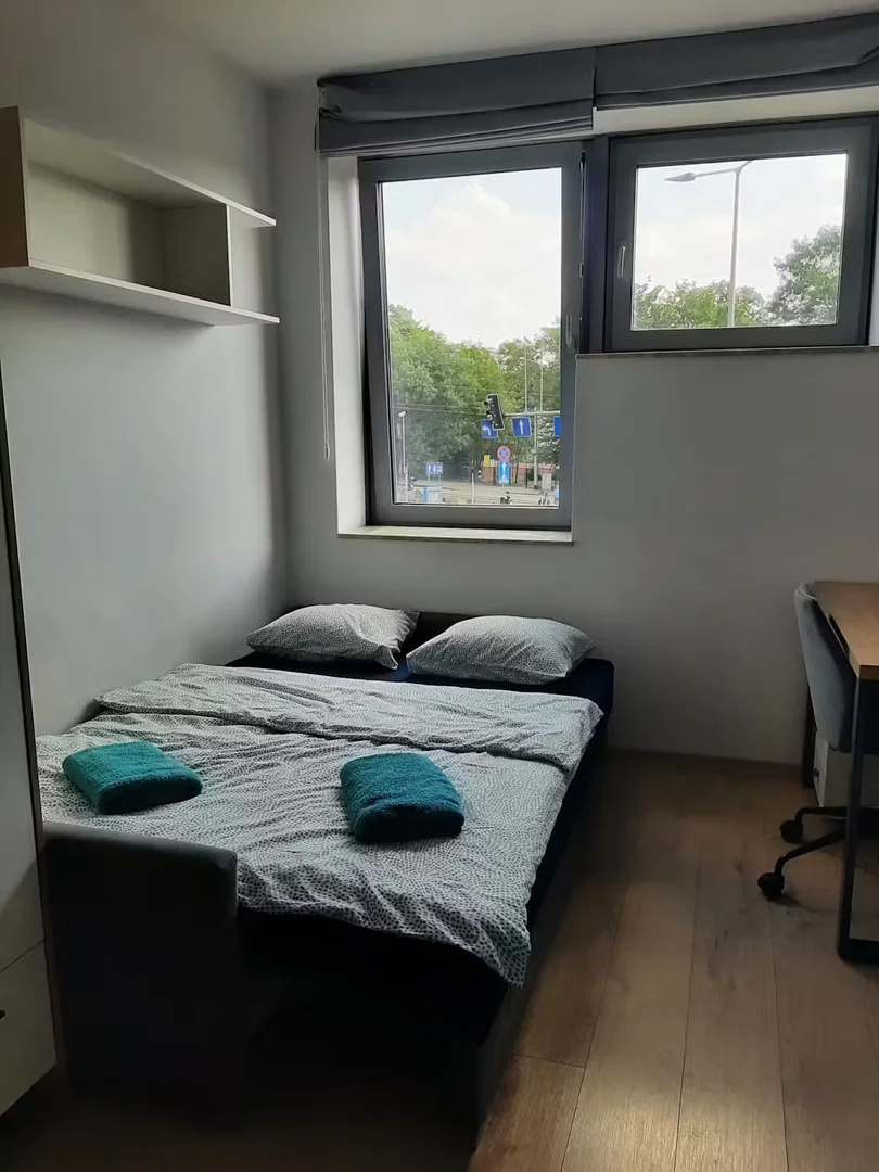 Dyrekcyjna, Krzyki