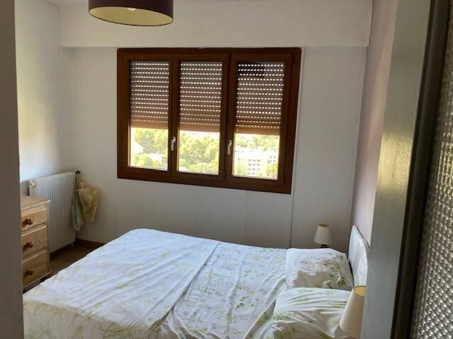Chambre abordable pour les étudiants avec un bon éclairage dans 