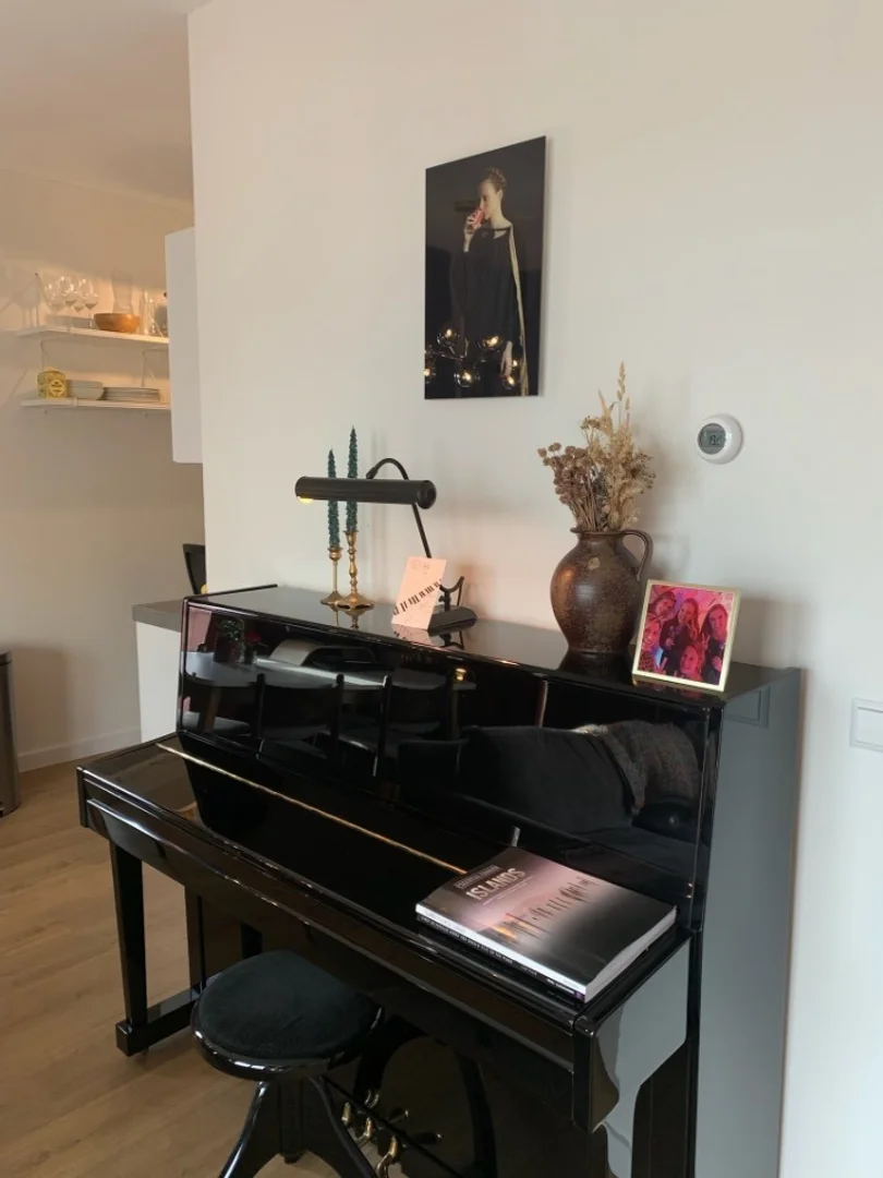  bölgesindeki öğrenciler için tam donanımlı stüdyo daire