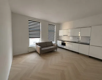 Monolocale in Zwart Janstraat, immagine 4 di 6