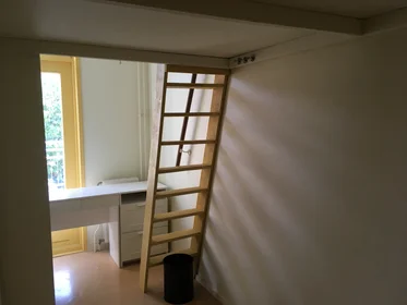 Private room at Nicolaasweg, image 1 of 5