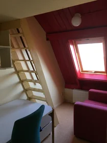 Private room at Nicolaasweg, image 2 of 5