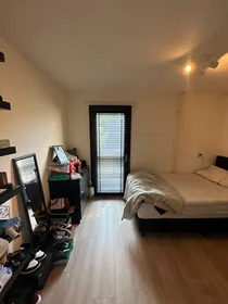 Private room at Pyrmontstraat, image 1 of 4