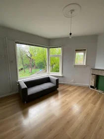 Chambre privée à Peizerweg, image 8 de 8