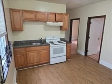 Całe miejsce w rezydencji 49, Judson, Unit 1, Dorchester, Boston, MA, 02125, obraz 3 15