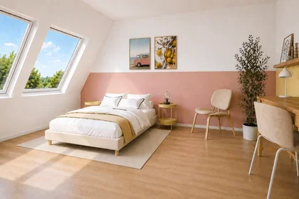 Chambre privée à Rue Jacob Mayer, Cronenbourg, image 1 de 2