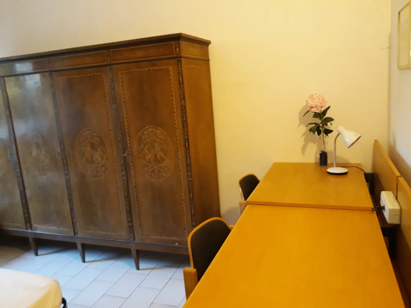 Niedrogi pokój dla studentów z dużym oświetleniem w 