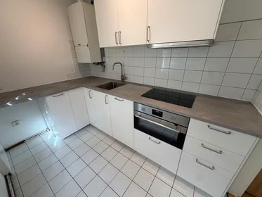 Appartamento intero in Weidmanngasse, Hernals, immagine 9 di 10