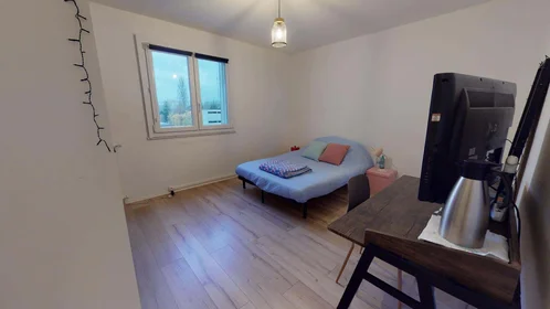 Habitación privada en 8 Rue d'Upsal, 67000 Strasbourg, France, imagen 1 de 10