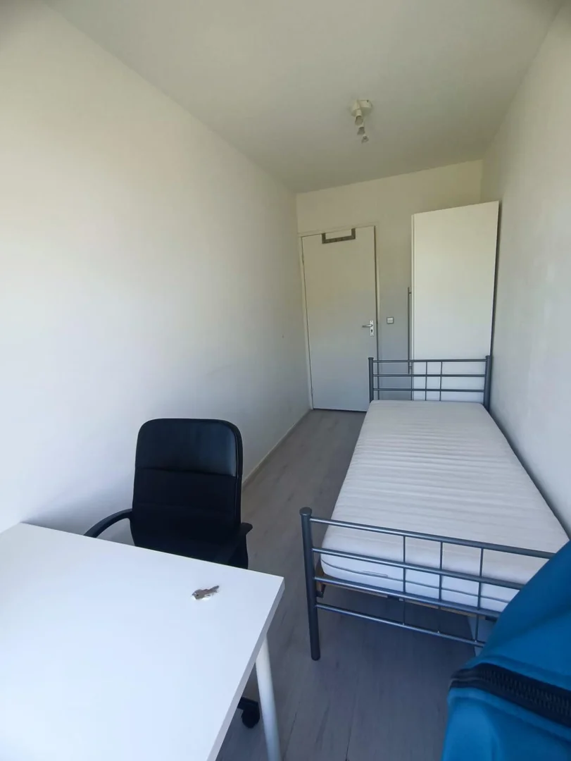 Room for rent in student apartment in , fully furnished