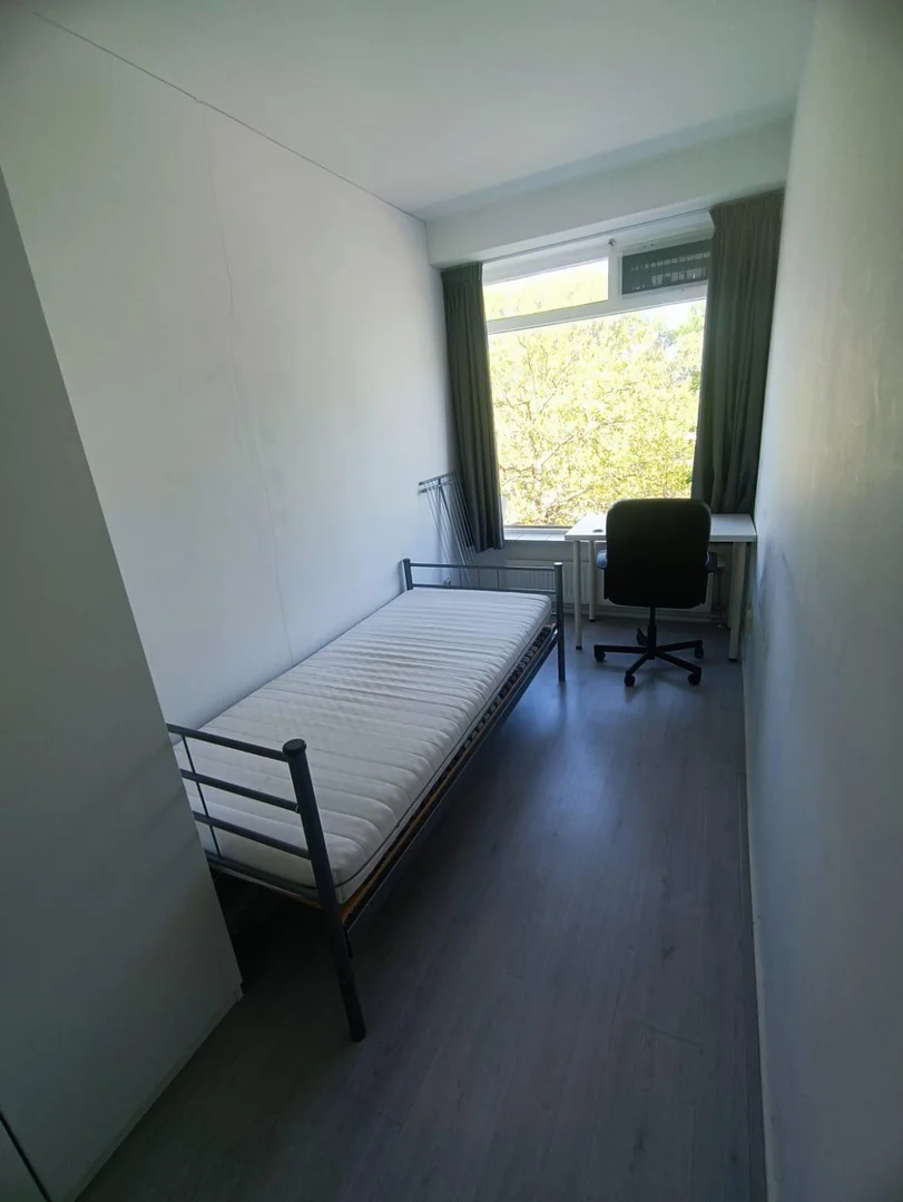Bright and airy student room with easy university access in 