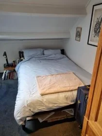 Chambre privée à Statensingel, image 7 de 10