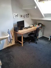 Chambre privée à Statensingel, image 8 de 10