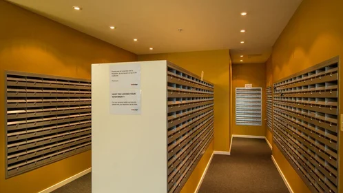 Całe miejsce w rezydencji 800 Swanston St, Carlton VIC 3053, Australia, obraz 9 35