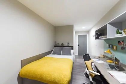 Chambre privée à New Cut Rd, Swansea SA1 2DN, UK, image 1 de 10