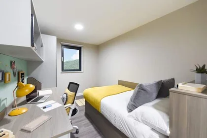 Chambre privée à New Cut Rd, Swansea SA1 2DN, UK, image 1 de 10