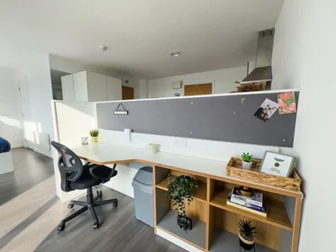 Quarto privado em residência em 200 N Hanover St, Glasgow G4 0PY, United Kingdom , imagem 35 de 36
