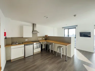 Quarto privado em residência em 200 N Hanover St, Glasgow G4 0PY, United Kingdom , imagem 34 de 36