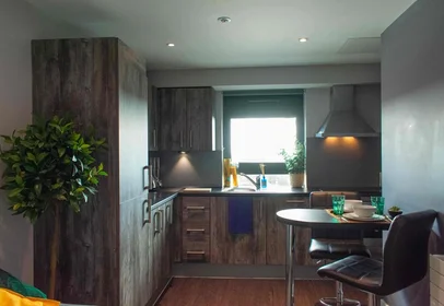 Apartamento inteiro em residência em 15 Queens Walk, Reading RG1 7QF, UK, imagem 5 de 34