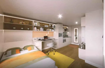 Appartamento intero in residence in 6 Paris Garden, London SE1 8ND, United Kingdom, immagine 14 di 17