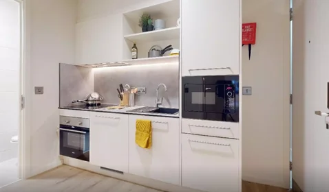 Appartamento intero in residence in 6 Paris Garden, London SE1 8ND, United Kingdom, immagine 4 di 17
