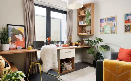 Özel oda Ikamet yerinde konumu 36 Chalmers St, Edinburgh EH3 9FE, United Kingdom, 10 22 görüntüsü