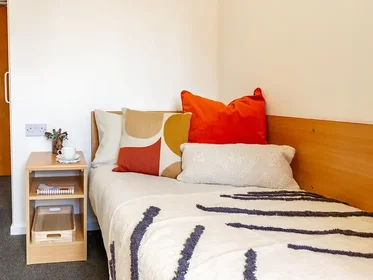 Privatzimmer in der 50 Park St, Lincoln LN1 1UR, United Kingdom, bild 1 von 10