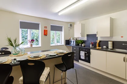 Privatzimmer im Wohnheim in der 50 Park St, Lincoln LN1 1UR, United Kingdom, bild 30 von 33