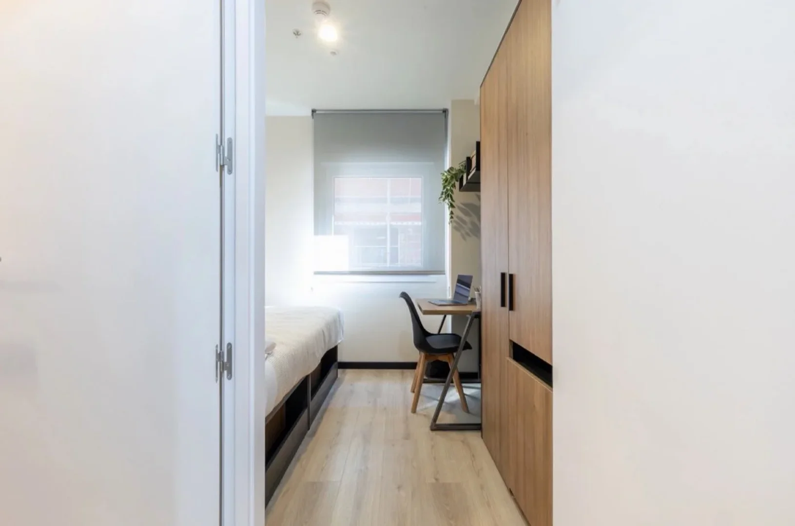 Comfortable and spacious student room in 