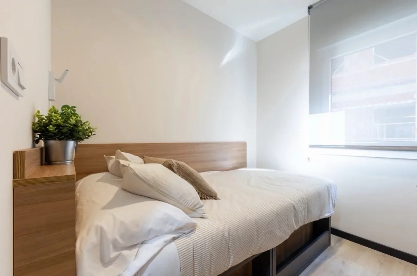 Bright and airy student room with easy university access in 
