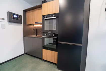 Stanza privata in residence in Avenida Futbolista Antonio Ruiz Cervilla 14, immagine 13 di 15
