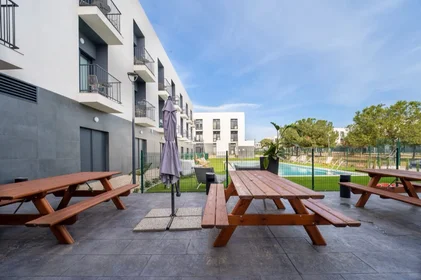 Stanza privata in residence in Avenida Futbolista Antonio Ruiz Cervilla 14, immagine 4 di 15