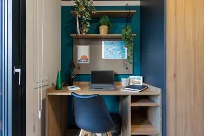 Studio im Wohnheim in der Zaragoza, bild 2 von 15