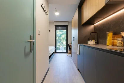 Studio im Wohnheim in der Zaragoza, bild 4 von 15