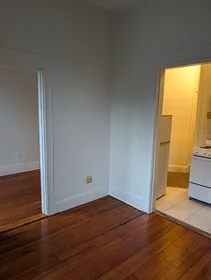 Appartamento intero in residence in 509, Columbus Ave., Unit 5, South End, Boston, MA, 02118, immagine 12 di 27