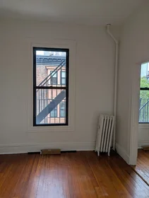 Appartamento intero in residence in 509, Columbus Ave., Unit 5, South End, Boston, MA, 02118, immagine 17 di 27