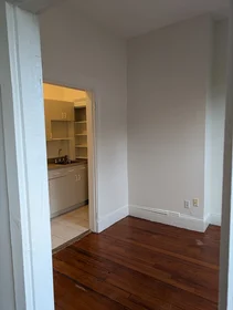 Appartamento intero in residence in 509, Columbus Ave., Unit 5, South End, Boston, MA, 02118, immagine 19 di 27