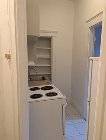 Appartamento intero in residence in 509, Columbus Ave., Unit 5, South End, Boston, MA, 02118, immagine 20 di 27