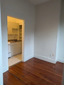 Appartamento intero in residence in 509, Columbus Ave., Unit 5, South End, Boston, MA, 02118, immagine 4 di 27