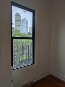 Appartamento intero in residence in 509, Columbus Ave., Unit 5, South End, Boston, MA, 02118, immagine 6 di 27