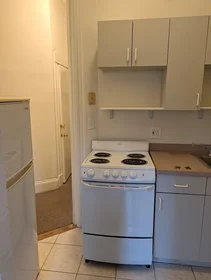 Appartamento intero in residence in 509, Columbus Ave., Unit 5, South End, Boston, MA, 02118, immagine 8 di 27