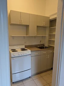 Appartamento intero in residence in 509, Columbus Ave., Unit 5, South End, Boston, MA, 02118, immagine 9 di 27