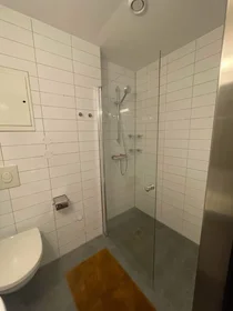 Private room at Steenstrups Gate, 1B, image 8 of 11