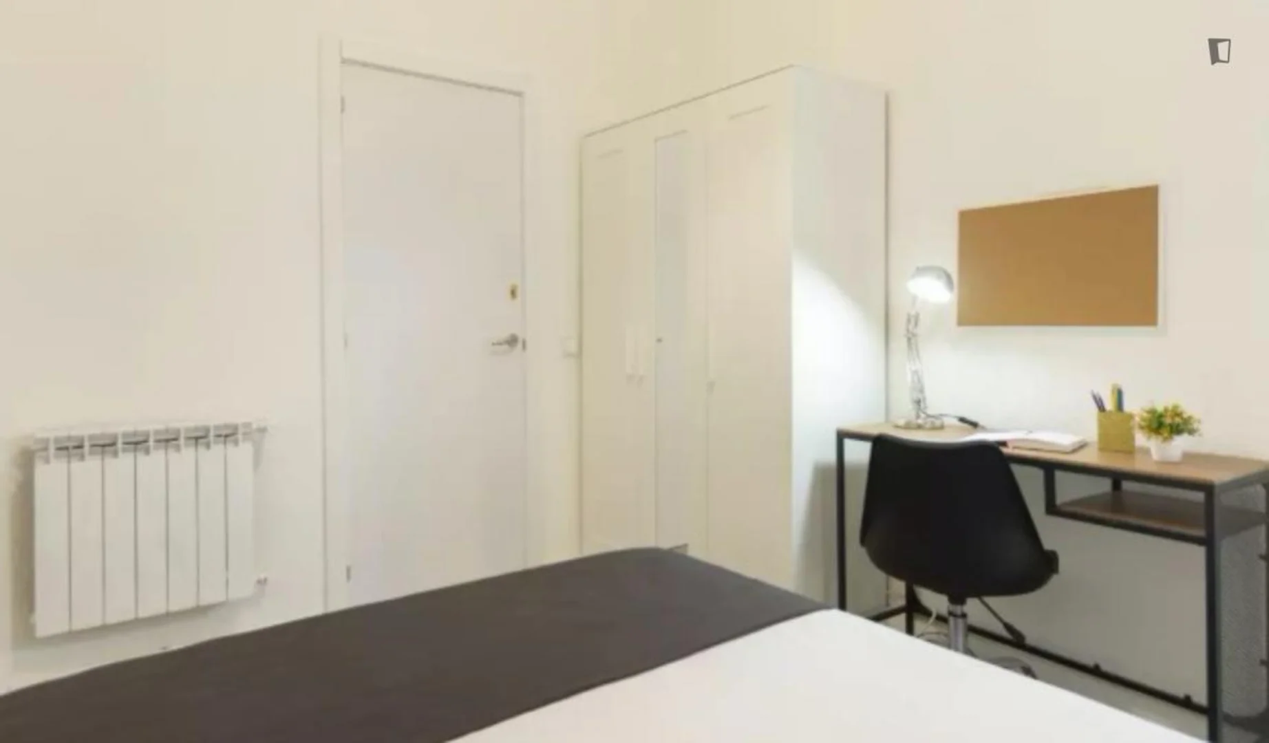 Affordable room for students with ample lighting in